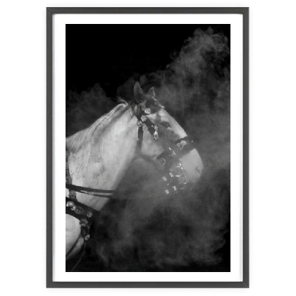 Yeti And Horse-Fine Print-Augmented Reality Wall Art-1111x[ 5 in1]